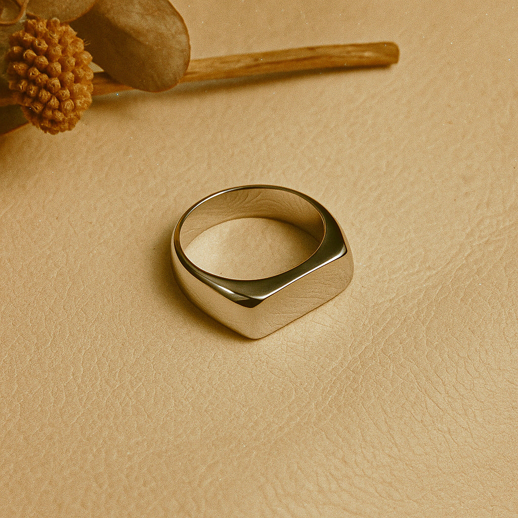 Sceau Signet Ring – Silver Finish
